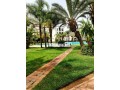 appartements-meublees-a-louer-a-la-marina-small-10