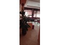 appartement-muoblie-sountre-small-0