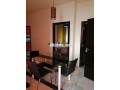 tres-bel-appartement-avec-wifi-small-3
