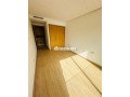 studio-a-louer-a-palmier-small-3
