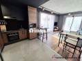 gauthier-joli-studio-meuble-avec-terrasse-a-louer-small-4