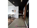 gauthier-joli-studio-meuble-avec-terrasse-a-louer-small-5