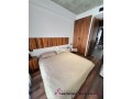 gauthier-joli-studio-meuble-avec-terrasse-a-louer-small-7