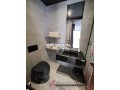 gauthier-joli-studio-meuble-avec-terrasse-a-louer-small-8