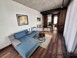 gauthier-joli-studio-meuble-avec-terrasse-a-louer