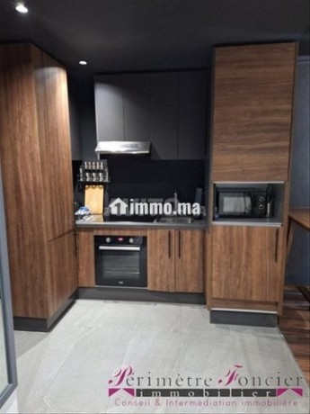 gauthier-joli-studio-meuble-avec-terrasse-a-louer-big-9