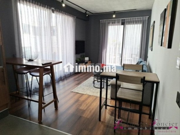 gauthier-joli-studio-meuble-avec-terrasse-a-louer-big-1