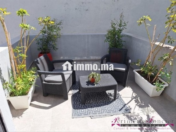 gauthier-joli-studio-meuble-avec-terrasse-a-louer-big-3