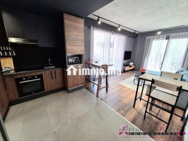 gauthier-joli-studio-meuble-avec-terrasse-a-louer-big-4