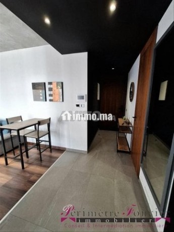 gauthier-joli-studio-meuble-avec-terrasse-a-louer-big-5