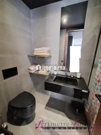 gauthier-joli-studio-meuble-avec-terrasse-a-louer-big-8