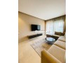 studio-57m-meuble-luxe-a-les-princesses-small-4