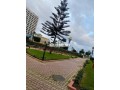 shk-llkraaa-alyomy-khas-balaaayl-o-bdon-smsar-small-11