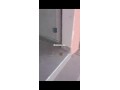 deux-magasins-pres-de-dar-sokkar-avenue-m6-small-2