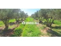 ferme-a-vendre-small-0