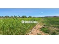 ferme-a-vendre-small-5