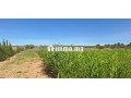 ferme-a-vendre-small-6