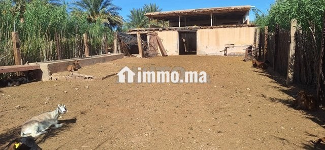 ferme-a-vendre-big-4