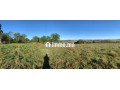 terrain-a-vendre-oum-azza-small-0