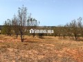 terrain-a-vendre-oum-azza-small-4