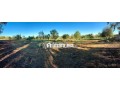 terrain-a-vendre-oum-azza-small-5