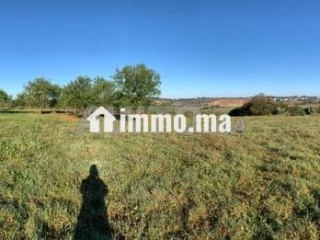 terrain-a-vendre-oum-azza