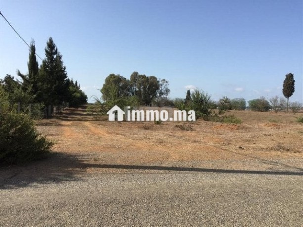 terrain-a-vendre-oum-azza-big-2