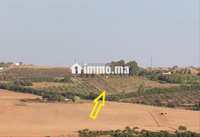 terrain-a-vendre-oum-azza-big-3
