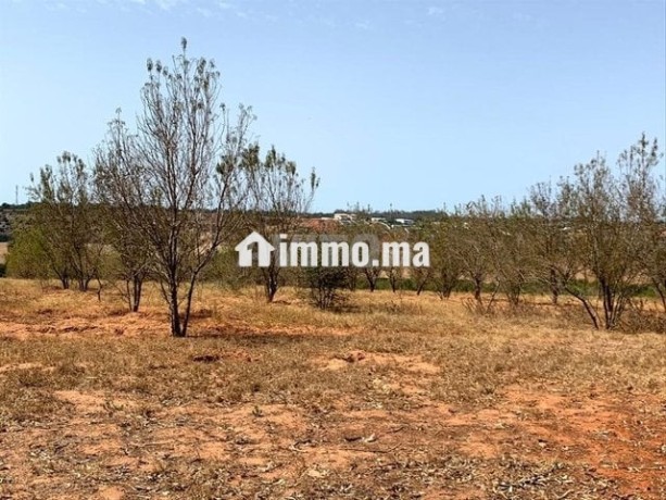 terrain-a-vendre-oum-azza-big-4