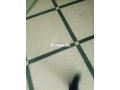 a-vendre-un-local-commercial-small-9
