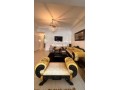 appartement-120m-meuble-a-bourgogne-small-9