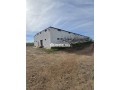 ferme-titree-17km-del-jadida-route-de-marrakech-small-2