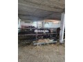 ferme-titree-17km-del-jadida-route-de-marrakech-small-6