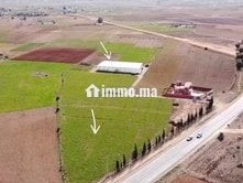ferme-titree-17km-del-jadida-route-de-marrakech