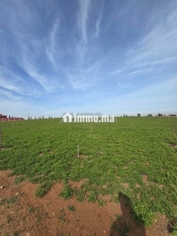 ferme-titree-17km-del-jadida-route-de-marrakech-big-1