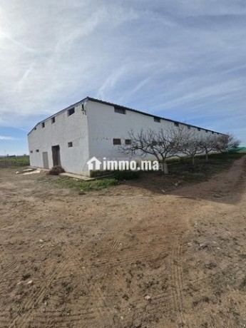 ferme-titree-17km-del-jadida-route-de-marrakech-big-2