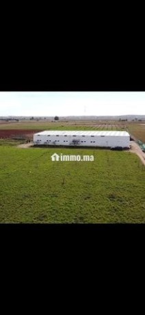 ferme-titree-17km-del-jadida-route-de-marrakech-big-7