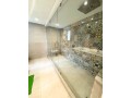 grand-appartement-renove-comme-neuf-small-19