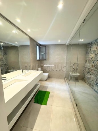 grand-appartement-renove-comme-neuf-big-18