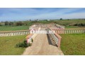 belle-ferme-de-8121m2-bouznika-small-8