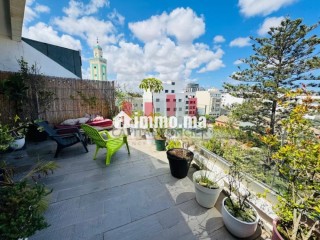 vue-panoramique-et-belle-terrasse