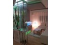 appartement-meuble-tres-bien-amenage-a-mohamedia-small-0