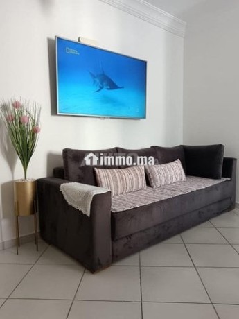 appartement-bien-meuble-et-cadre-calme-et-paisible-big-4
