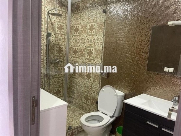 appartement-2-chambres-a-louer-vue-sur-le-parc-big-4
