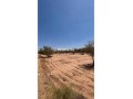 terrain-de-3-900-m-titre-km-30-rte-abdellah-riyyat-small-0