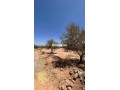 terrain-de-3-900-m-titre-km-30-rte-abdellah-riyyat-small-2