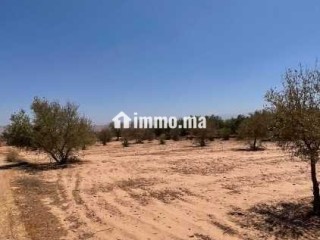 terrain-de-3-900-m-titre-km-30-rte-abdellah-riyyat