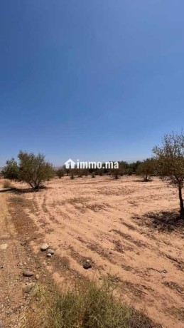 terrain-de-3-900-m-titre-km-30-rte-abdellah-riyyat-big-0