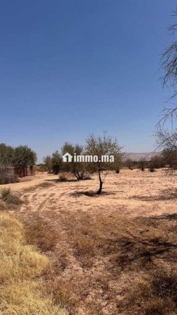 terrain-de-3-900-m-titre-km-30-rte-abdellah-riyyat-big-1
