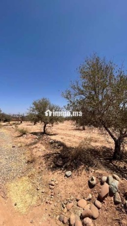 terrain-de-3-900-m-titre-km-30-rte-abdellah-riyyat-big-2